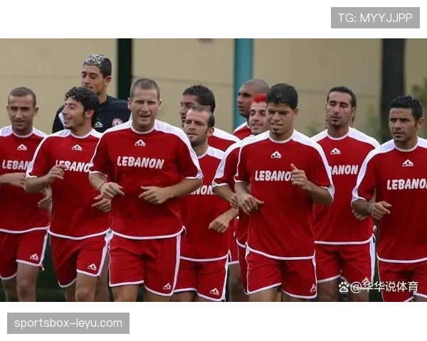 德甲转会市场活跃，多支球队加快引援步伐迎接新赛季