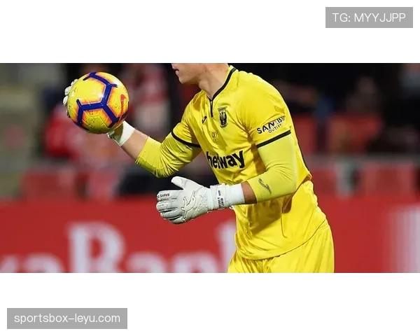 阿利松：从球场新星到世界顶尖门将，稳健表现铸就职业辉煌