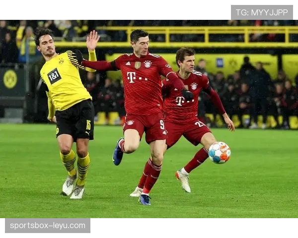 马丁内斯掌舵葡萄牙队，剑指2024欧洲杯荣耀