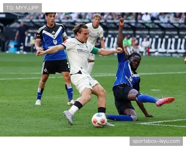 汉堡关键球员状态回暖，球队竞争力显著提升引关注