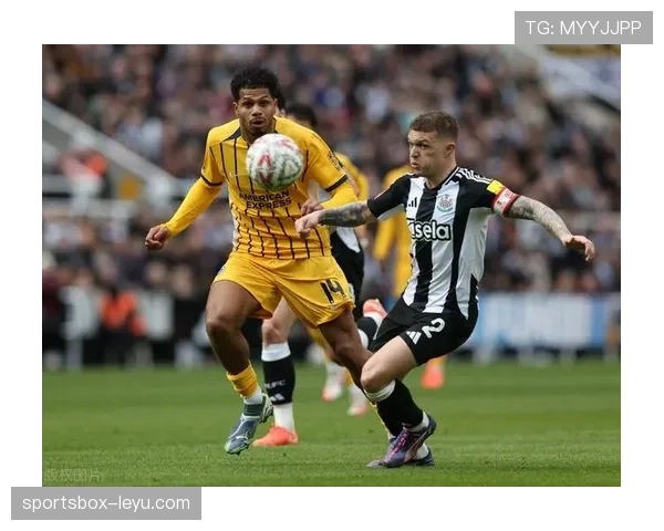 英超法蒂布莱顿