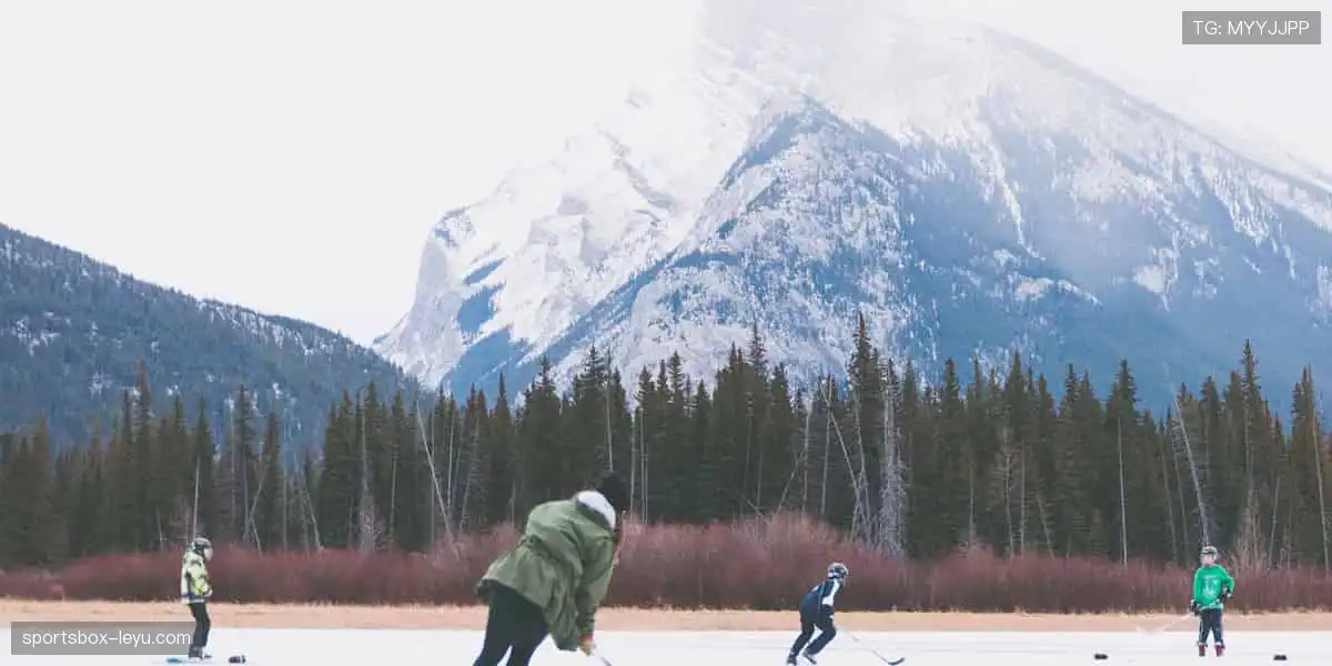 🎯 球星同款，即刻拥有！体育周边商城，解锁你的专属热爱！